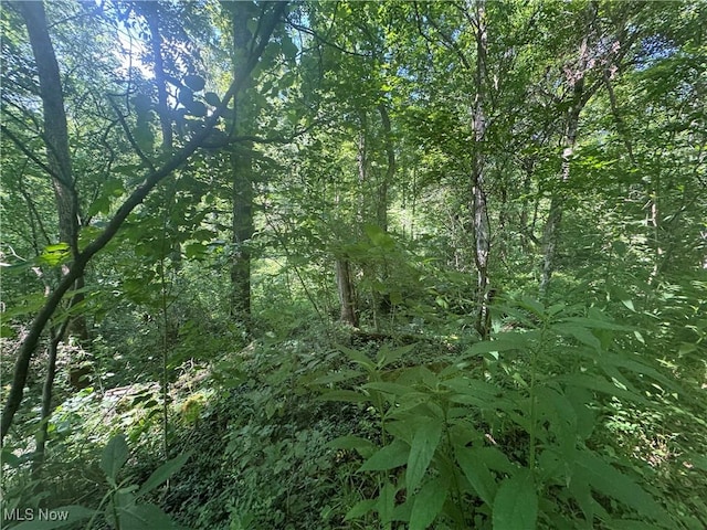 LOT2 County Rd 9, New Matamoras, OH 45767