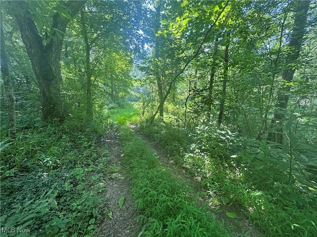 LOT2 County Rd 9, New Matamoras, OH 45767