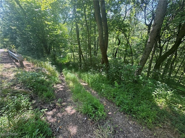 LOT2 County Rd 9, New Matamoras, OH 45767