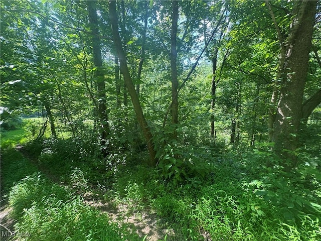 LOT2 County Rd 9, New Matamoras, OH 45767