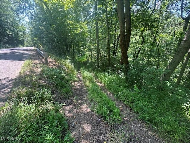 LOT2 County Rd 9, New Matamoras, OH 45767