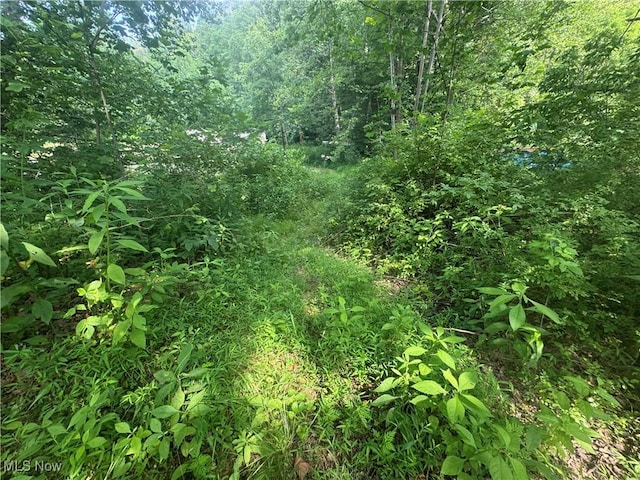 20920 County Road 9, New Matamoras, OH 45767