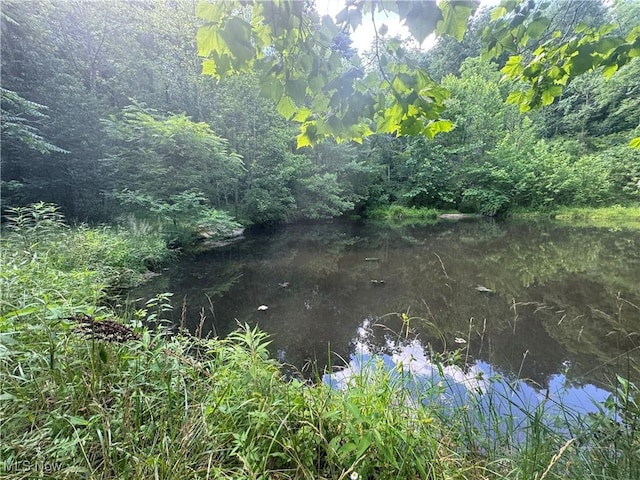 20920 County Road 9, New Matamoras, OH 45767