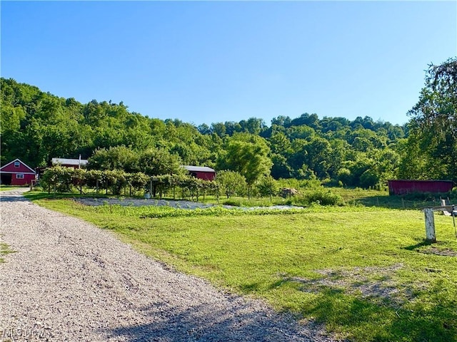 31499 Temperanceville Rd, Quaker City, OH 43773 - photo 10