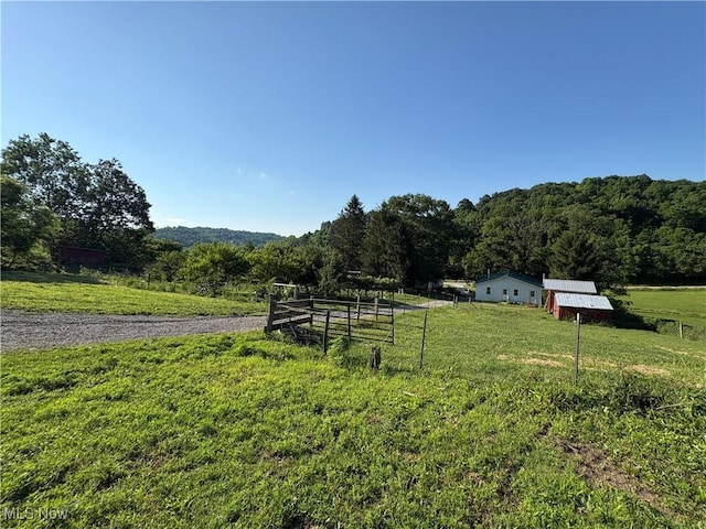 31499 Temperanceville Rd, Quaker City, OH 43773 - photo 27