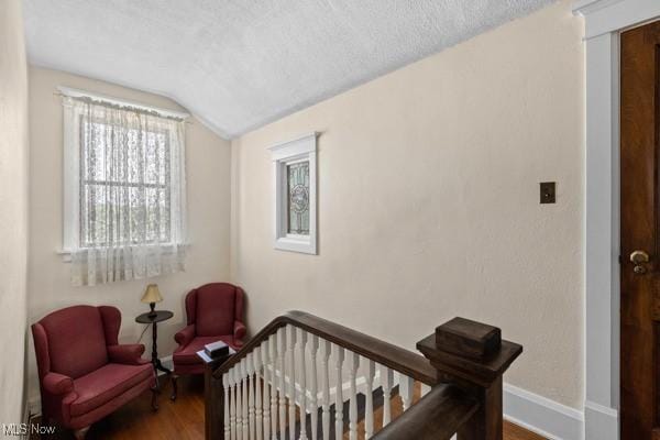 121 Maple Ave, Bethesda, OH 43719 - photo 26