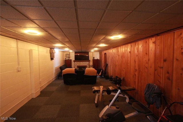 72 S Hartford Ave, Youngstown, OH 44509 - carpeted cinema featuring a fireplace, wooden walls, and a paneled ceiling