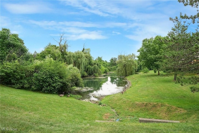 11253 Hampton Bay Ln, Concord, OH 44077 - view of green lawn