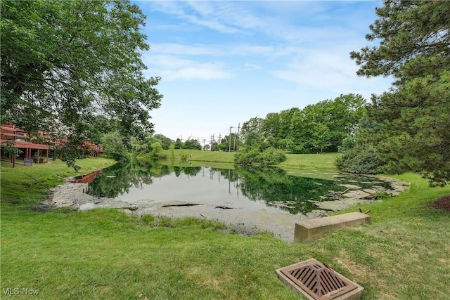 11253 Hampton Bay Ln, Concord, OH 44077 - water view