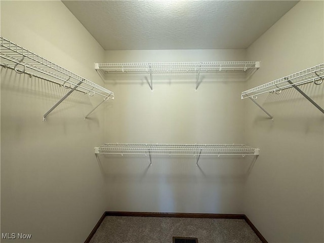 700 Whitetail Crossings, Wooster, OH 44691 - walk in closet with carpet floors