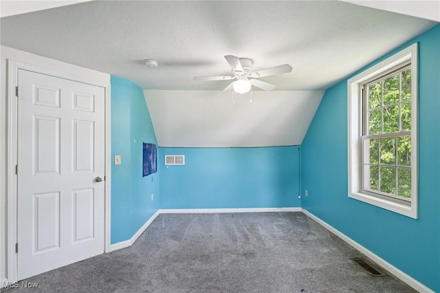 1811 Stepney St, Niles, OH 44446 - additional living space with carpet flooring, ceiling fan, lofted ceiling, and a textured ceiling