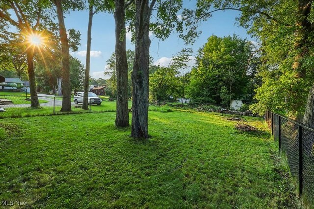 2992 Eldora Dr, Youngstown, OH 44511 - view of yard