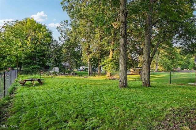 2992 Eldora Dr, Youngstown, OH 44511 - view of yard