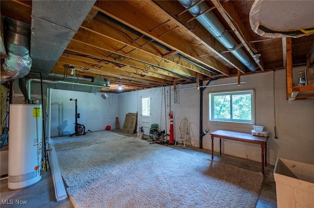 24 Heather Cir, Washington, WV 26181 - below grade area with gas water heater