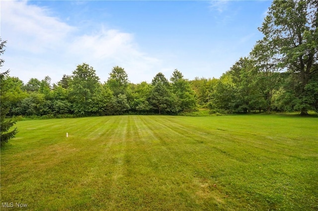 136 N Chillicothe Rd, Aurora, OH 44202 - view of grassy yard