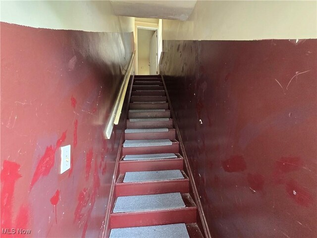 10515 Greenlawn Ave, Cleveland, OH 44108 - photo 5