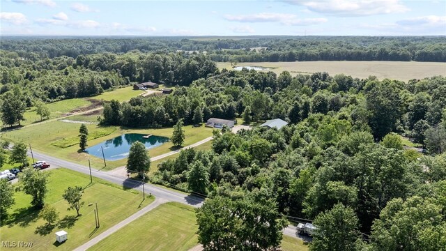 1467 Notman Rd, Deerfield, OH 44411 - bird's eye view of a forest and a large body of water