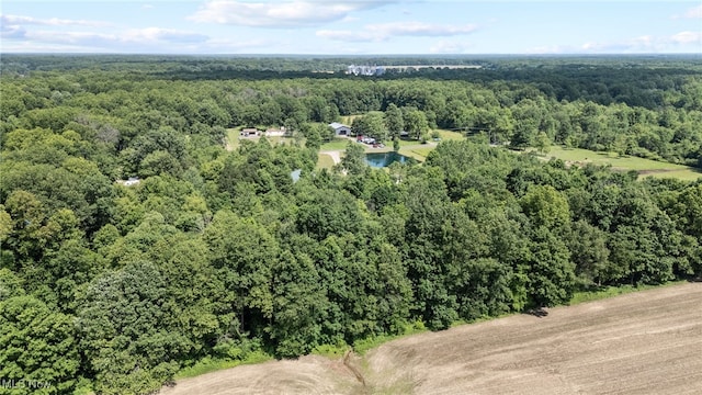 1467 Notman Rd, Deerfield, OH 44411 - drone / aerial view of a heavily wooded area