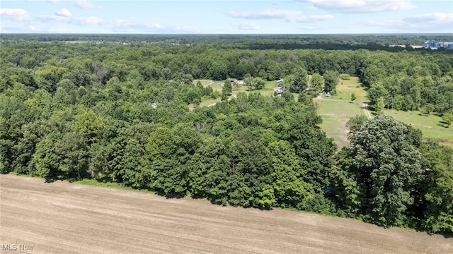 1467 Notman Rd, Deerfield, OH 44411 - drone / aerial view of a forest