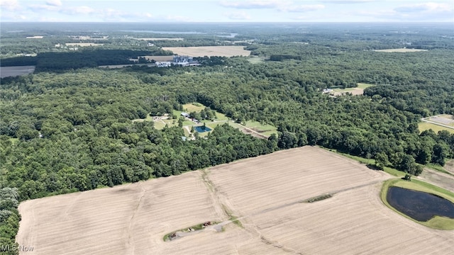 1467 Notman Rd, Deerfield, OH 44411 - drone / aerial view of a heavily wooded area
