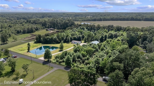 1467 Notman Rd, Deerfield, OH 44411 - bird's eye view of a forest and a large body of water