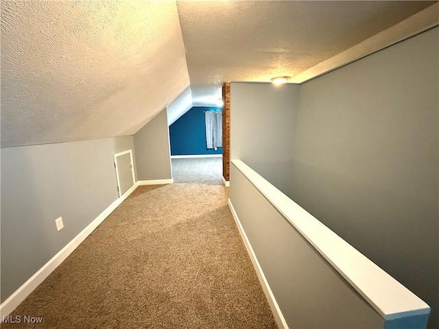 21571 Ball Ave, Euclid, OH 44123 - additional living space with a textured ceiling, carpet flooring, and vaulted ceiling