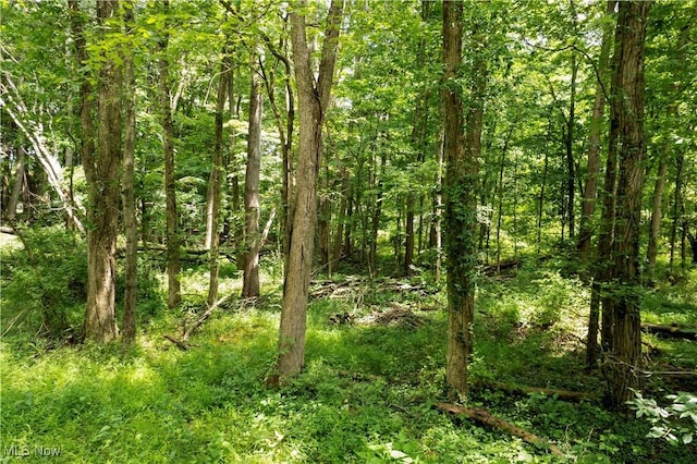 Township Road 1151st Rd, Nova, OH 44859 - photo 1