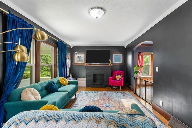 115 Coulter St, Creston, OH 44217 - living room with crown molding, wood finished floors, a fireplace, and arched walkways