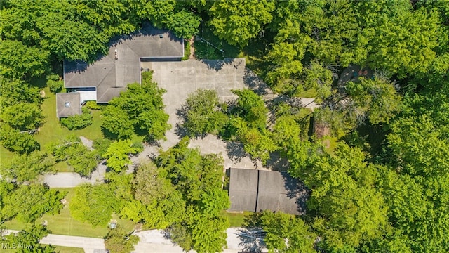 4346 Clay St, Geneva, OH 44041 - photo 45