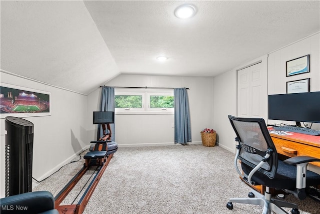 6170 Oberlin Rd, Amherst, OH 44001 - home office with a textured ceiling, carpet floors, and lofted ceiling