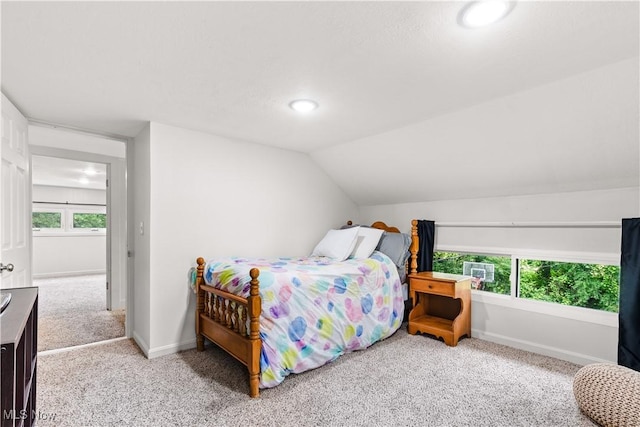 6170 Oberlin Rd, Amherst, OH 44001 - carpeted bedroom with recessed lighting and vaulted ceiling