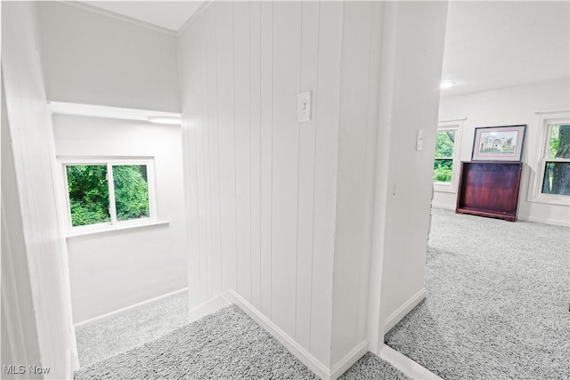 6170 Oberlin Rd, Amherst, OH 44001 - hall featuring carpet and healthy amount of natural light