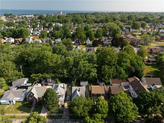 19005 Pawnee Ave, Cleveland, OH 44119 - aerial view of residential area