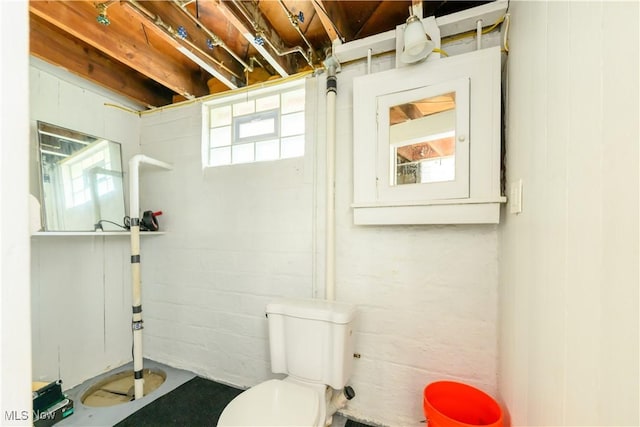 19005 Pawnee Ave, Cleveland, OH 44119 - bathroom with toilet