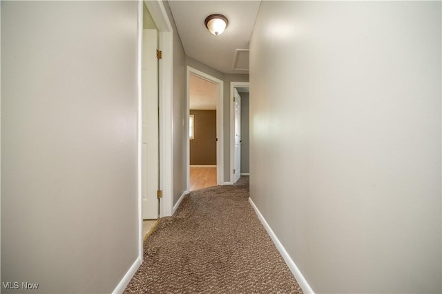 2835 Hallock Young Rd SW, Warren, OH 44481 - hallway with carpet flooring and baseboards