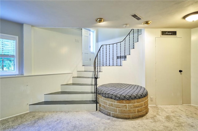 2948 Robin Hill Ln, Mogadore, OH 44260 - stairway featuring carpet floors