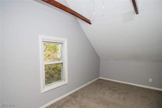 915 Clarence Rd, Cleveland Heights, OH 44121 - photo 19