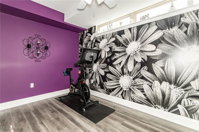 12591 Larchmere Blvd Unit W-6, Cleveland, OH 44120 - exercise area featuring wood finished floors and ceiling fan