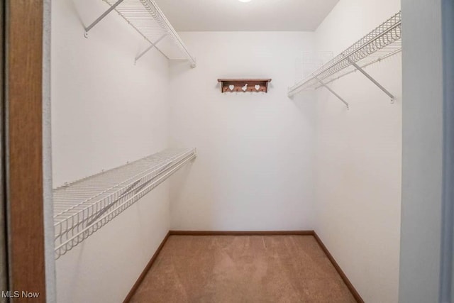 4039 Tannybrooke Ln NW Unit C, Canton, OH 44718 - walk in closet with light colored carpet