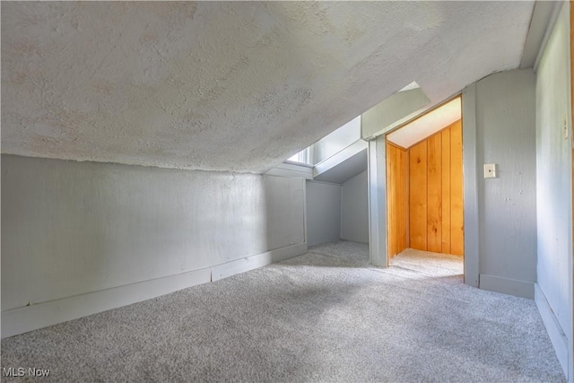 312 28th St SW, Canton, OH 44706 - bonus room featuring carpet floors, a textured ceiling, and lofted ceiling