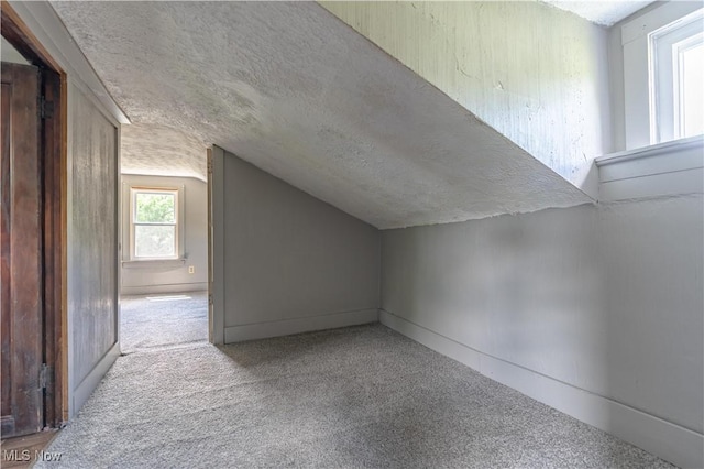 312 28th St SW, Canton, OH 44706 - bonus room with a textured ceiling, lofted ceiling, and carpet floors