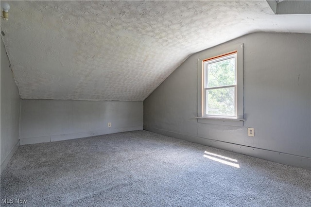 312 28th St SW, Canton, OH 44706 - additional living space featuring a textured ceiling, vaulted ceiling, and carpet floors