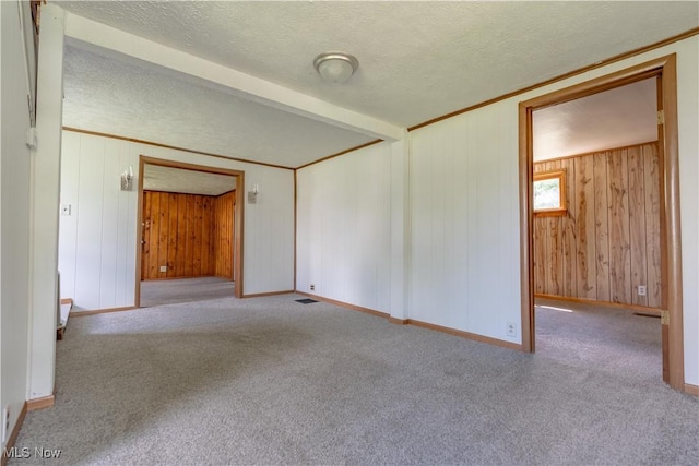 312 28th St SW, Canton, OH 44706 - carpeted spare room featuring a textured ceiling and wood walls