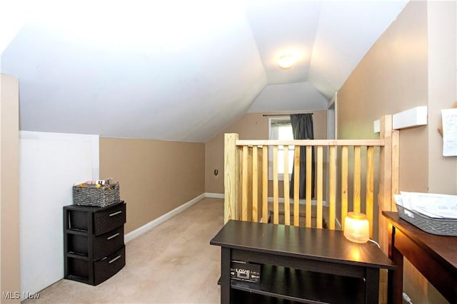 645 Saybolt Ave, Wooster, OH 44691 - bonus room with carpet flooring and vaulted ceiling