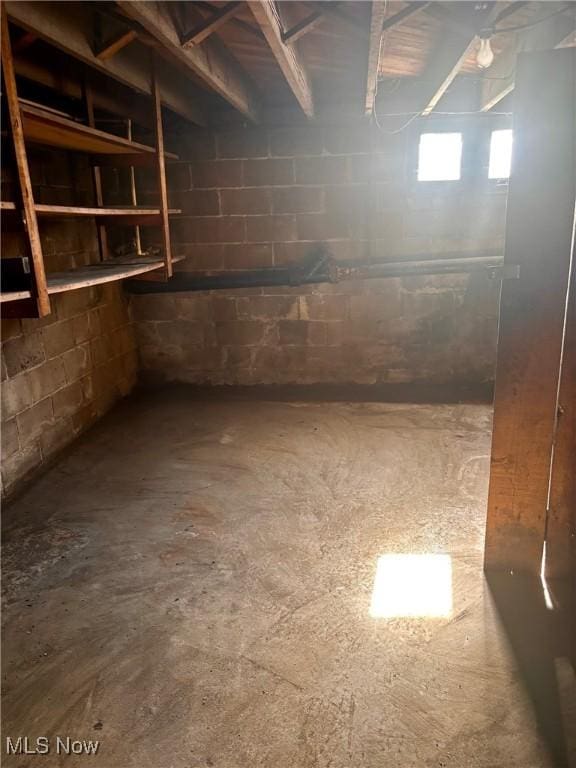 8 E Main St, New Concord, OH 43762 - below grade area with concrete block wall
