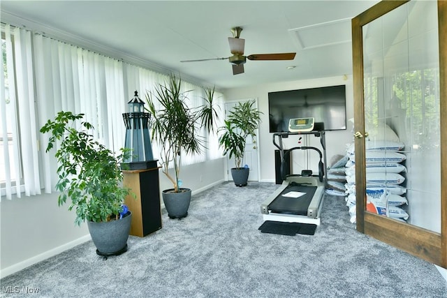 8518 Four Seasons Trl, Poland, OH 44514 - workout room with carpet floors, healthy amount of natural light, and a ceiling fan