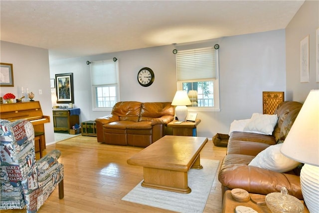 252 Greenbriar Dr, Cortland, OH 44410 - living area with light wood-style flooring