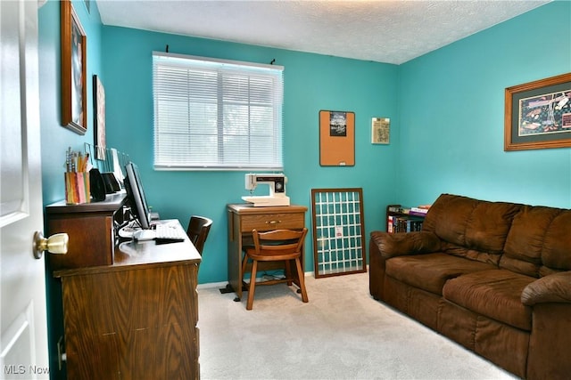 252 Greenbriar Dr, Cortland, OH 44410 - office space with carpet flooring and a textured ceiling