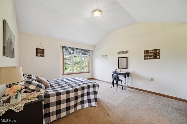 3823 Kyle Rd, Dorset, OH 44032 - carpeted bedroom featuring vaulted ceiling and baseboards