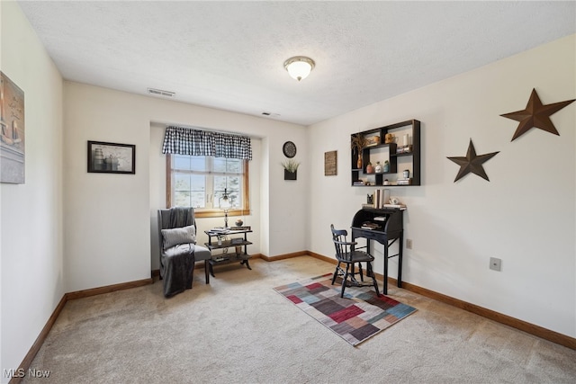 3823 Kyle Rd, Dorset, OH 44032 - sitting room featuring carpet floors and a textured ceiling